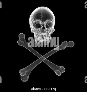 Skull and crossbones - a mark of the danger warning Stock Photo