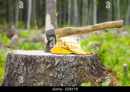 Ax carved in stump in forest Stock Photo