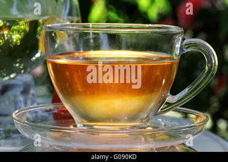 Tea cup. Stock Photo