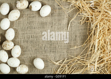 Organic white domestic eggs on sackcloth and straw Stock Photo