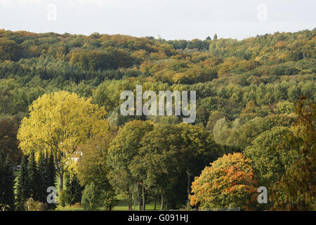 Autumnally atmosphere , Baldeneysee, Essen, German Stock Photo