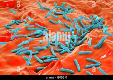 Tuberculosis bacteria. Computer artwork of Mycobacterium tuberculosis bacteria, the Gram- positive rod-shaped bacteria which cause the disease tuberculosis. Stock Photo