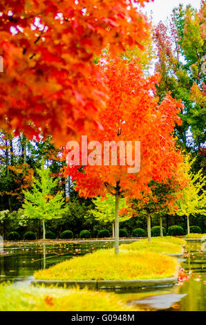 autumn colors within southern city limits in late november Stock Photo