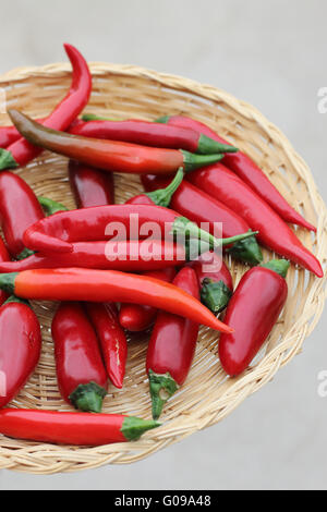 Close up of Home grown organic  fresh long hot red chillies in a woven bowl Stock Photo