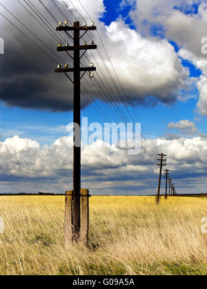 Old wooden poles - the line of electricity transmi Stock Photo