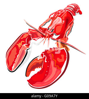 Lobster isolated on white background, illustration Stock Photo