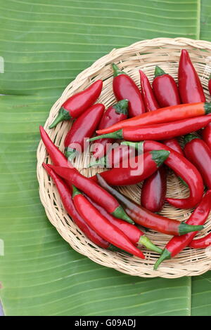 Home grown fresh long hot red chillies on banana leaf Stock Photo