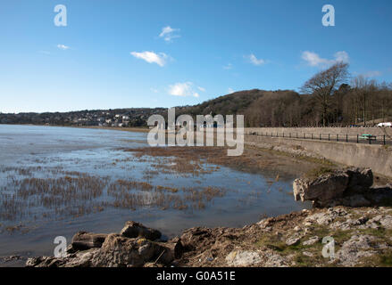 Grange-over-Sands on the estuary of The River Kent Morecambe Bay Cumbria England Stock Photo