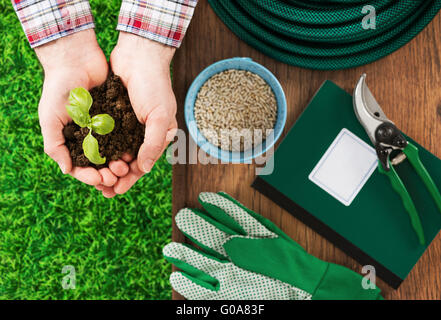 Farmer's hands holding a fresh basil sprout with soil and work tools on background Stock Photo