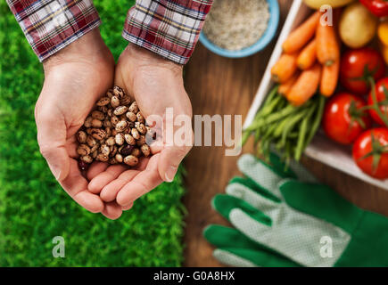 Farmer holding legumes in his hands with green grass and freshly harvested vegetables on background Stock Photo