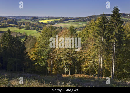 Autumn Landscape Elfringhausen, Hattingen, Germany Stock Photo