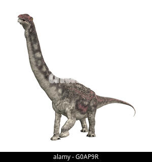 Dinosaur Diamantinasaurus Stock Photo