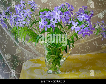 Blossoming violets in a crystal vase. Stock Photo