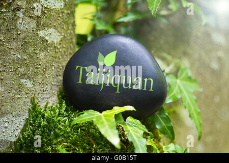 The Word „Taijiquan“ on a stone in nature Stock Photo