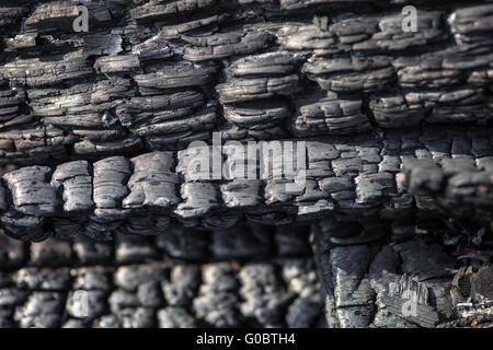 Close up of the wooden planks charred after the fire Stock Photo