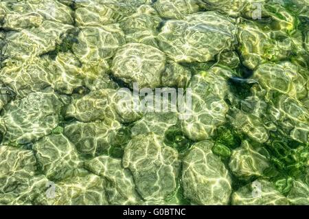 Covered stones under water of algae and silt Stock Photo