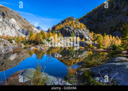 Beautiful view of the green lake with reflcection of colorful trees in golden autumn,  Aletsch glacier area of Swiss Alps, Canto Stock Photo