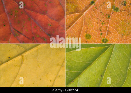 Colorful background Stock Photo