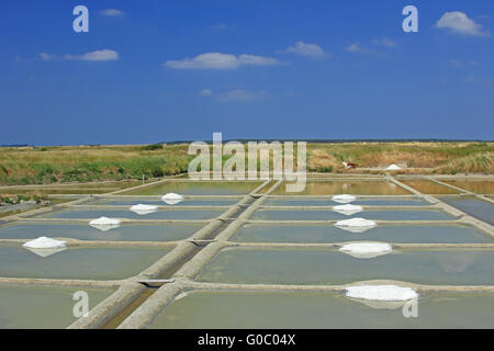 Production of sea salt, Brittany, France Stock Photo