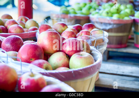 Large bushel basket full of fresh locally grown red apples at local farmers market Stock Photo