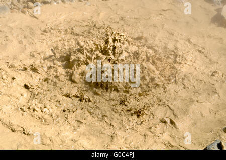 Boiling Mud Pot in Mount Lassen National Park Stock Photo