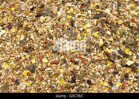 Detailed view of horse feed mix Stock Photo