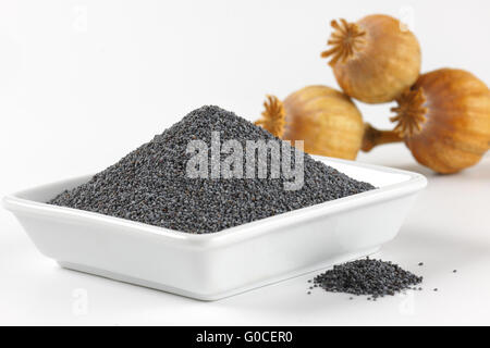 bowl of poppy seeds and poppy heads - close up Stock Photo