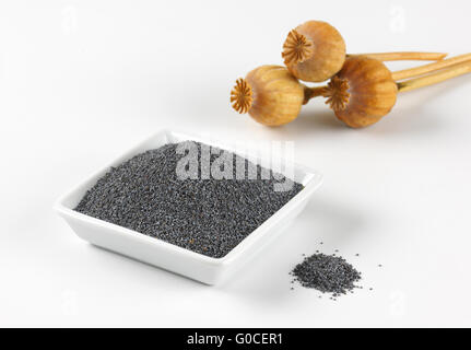 bowl of poppy seeds and poppy heads on white background Stock Photo