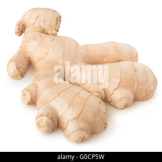 Isolated ginger. One ginger root isolated on white background with clipping path Stock Photo