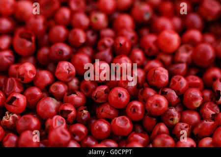 A background of pink peppercorns - macro photo Stock Photo