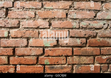 Old grunge weathered brick wall closeup as backgro Stock Photo