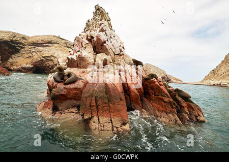 sea lion on rocky formation Islas Ballestas, paracas Stock Photo