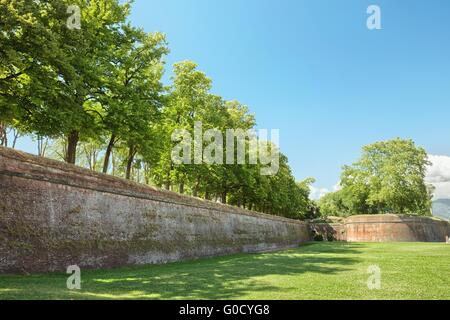 Lucca medieval city and surrounding city walls Stock Photo