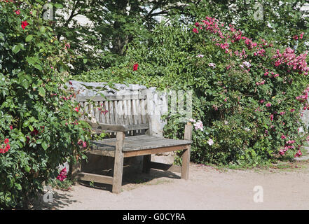 White bench among green plants on a sunny day Stock Photo