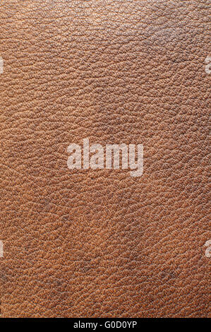Vintage kangaroo leather surface of retro suitcase Stock Photo