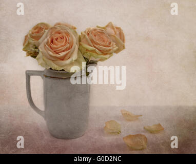 roses for grandma Stock Photo