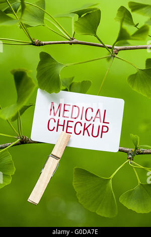 The Word „Medical Checkup“ in a Ginkgo Tree Stock Photo