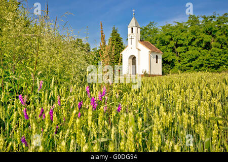 Catholic chapel in rural agricultural landscape Stock Photo