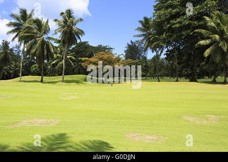 Beautiful golf course at the Constance Lemuria Resort. Stock Photo