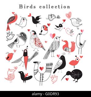 Bright set of birds Stock Vector
