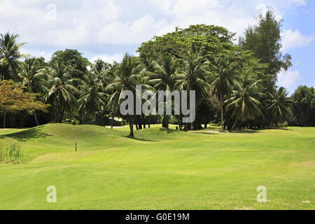 Beautiful golf course at the Constance Lemuria Resort. Stock Photo