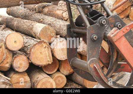 Cutted logs and woodworking machine Stock Photo