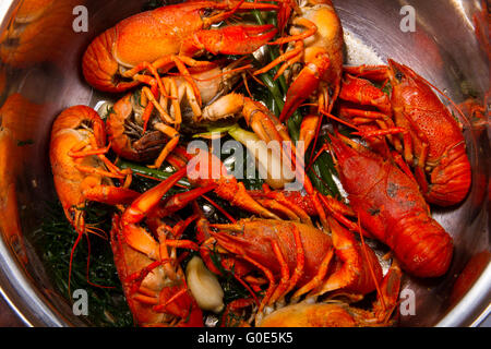 Crayfish Stock Photo