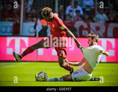 Munich, Germany. 30th Apr, 2016. Bayern Munich's Kingsley Coman (L) competes during the German first division Bundesliga football match against Moenchengladbach in Munich, Germany, on April 30, 2016. The match ended 1-1. © Philippe Ruiz/Xinhua/Alamy Live News Stock Photo