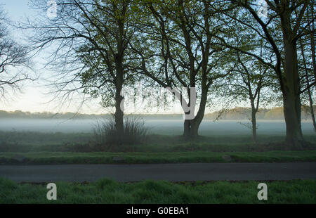 Wimbledon Common, London UK. 1st May 2016. The Greensleeves Wimbledon Morris Men dance at sunrise on May Day morning at 05.30am on a misty and frosty Wimbledon Common. Credit:  Malcolm Park editorial/Alamy Live News. Stock Photo