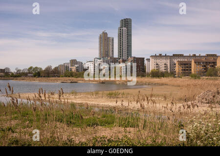 London UK 01st May 2016. Woodberry Wetlands nature reserve opens to the public. Open for unrestricted access for the first time in its two hundred year history, Woodberry Wetlands is a vast wildlife oasis near Finsbury Park in the borough of Hackney. Spanning 11 hectares, this long term project of habitat improvement and heritage restoration is situated upon a stretch of the New River and engulfs Stoke Newington East Reservoir. Credit: Patricia Phillips/Alamy Live News Stock Photo