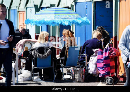 Hove Brighton UK 1st May 2016 - This group enjoy the Spring sunshine at a beach hut on Hove seafront this afternoon during the bank holiday weekend  Credit:  Simon Dack/Alamy Live News Stock Photo