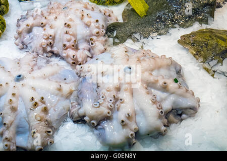 Fresh octopus at the Boqueria market in Barcelona Stock Photo