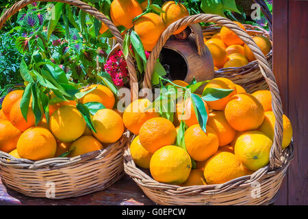 Ripe large oranges in a wicker basket Stock Photo