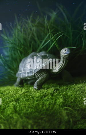 Close up of a green turtle toy on white background Stock Photo - Alamy